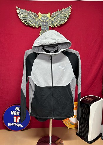 Puma Kapüşonlu Sweatshirt