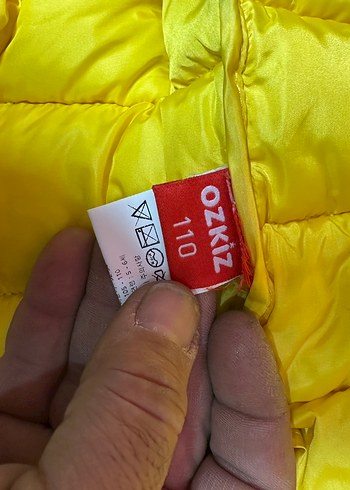 Kapüşonlu Renkli Erkek Çocuk Mont - Görsel 7