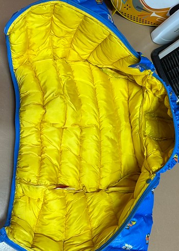 Kapüşonlu Renkli Erkek Çocuk Mont - Görsel 6