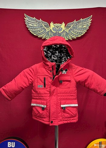 Walt Disney World 24-36 Ay