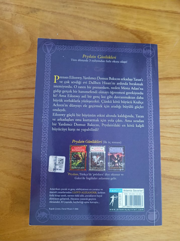 Llyr kalesi -Lloyd Alexander - Görsel 2