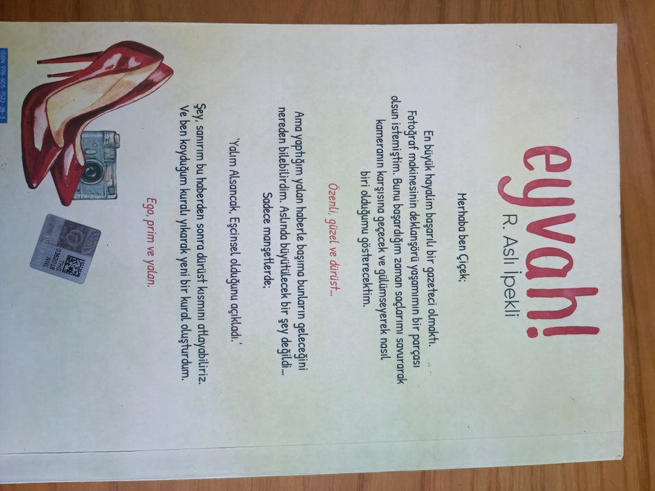 R. Aslı İpekli - Eyvah - Görsel 2