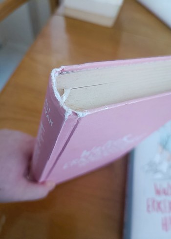 Walter Erkekleriyle hayatım - Görsel 4