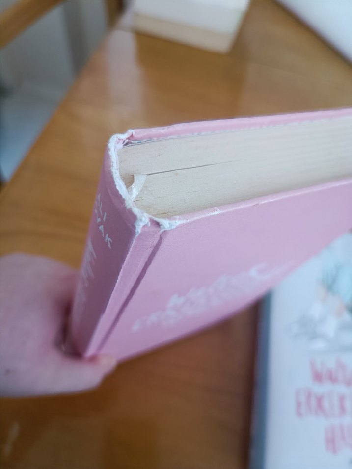 Walter Erkekleriyle hayatım - Görsel 4