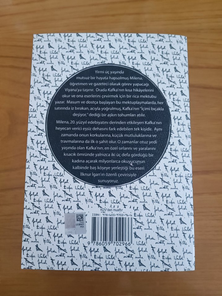 Milenaya Mektuplar - Franz Kafka - Görsel 2