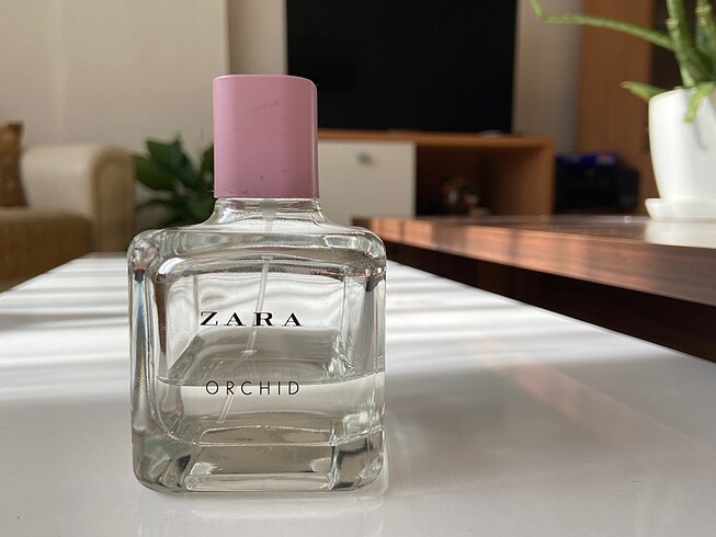 Zara Orchid