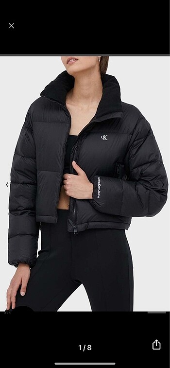 Calvin klein mont
