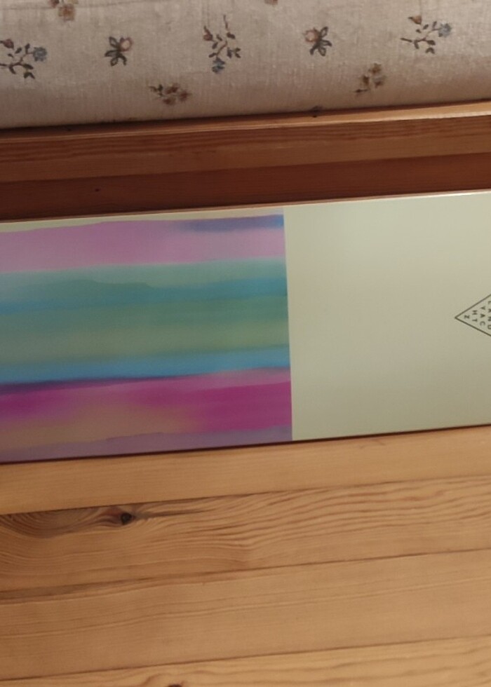 LONGBOARD KAYKAY ( LANDYACHTZ  TONY DANZA ) - Görsel 4