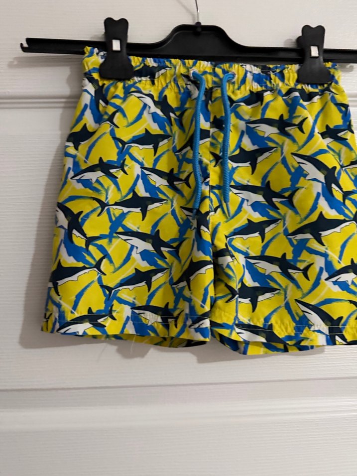 Erkek Renkli Salaş Bağcıklı Şort - Görsel 2