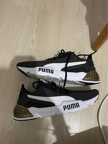 Puma erkek