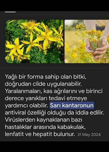 Kırmızı Sıvı Spreyli sarı kantaron yağı - Görsel 5