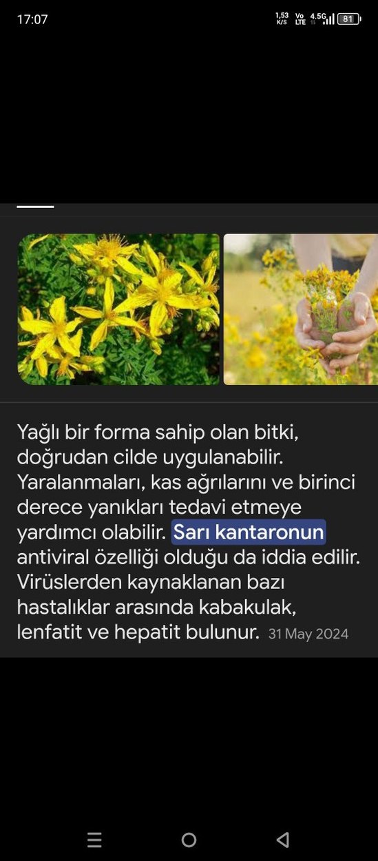 Kırmızı Sıvı Spreyli sarı kantaron yağı - Görsel 5