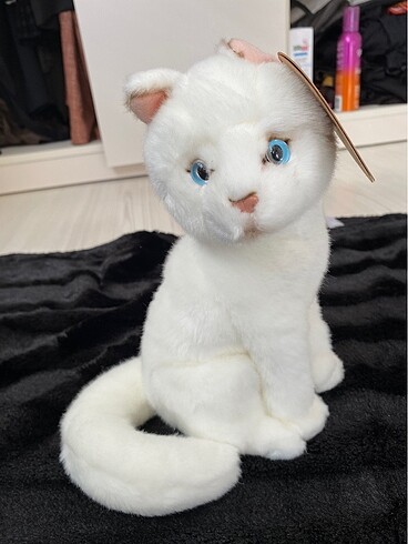 Peluş kedi