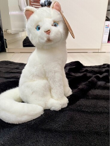  Beden Renk Peluş kedi