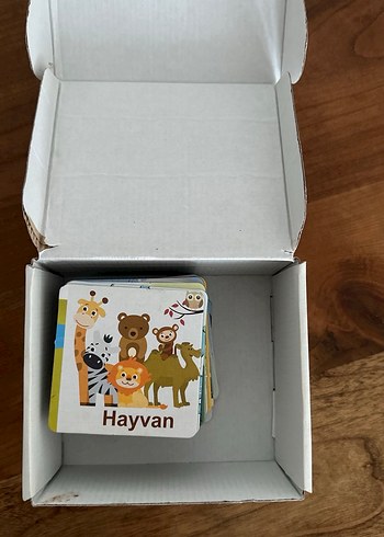 Doğayı Öğreniyorum Eğitici Kartlar - Görsel 7