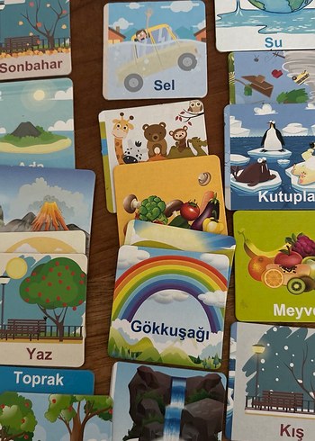 Doğayı Öğreniyorum Eğitici Kartlar - Görsel 3