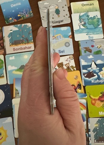 Doğayı Öğreniyorum Eğitici Kartlar - Görsel 4