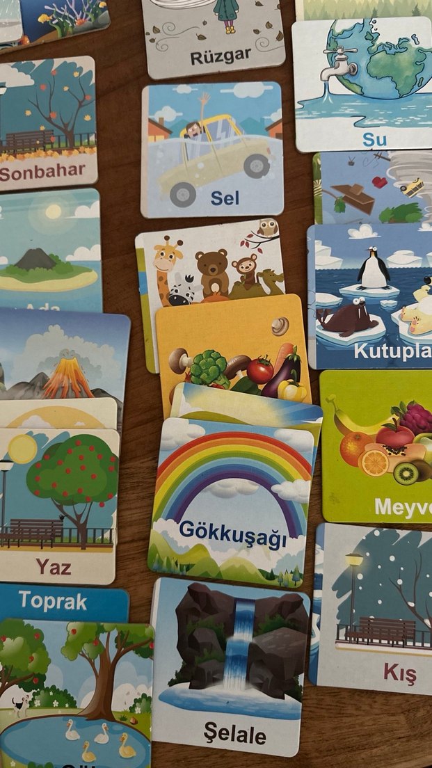 Doğayı Öğreniyorum Eğitici Kartlar - Görsel 3