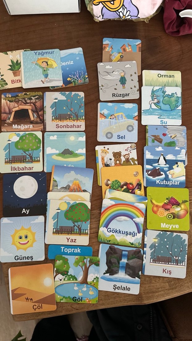 Doğayı Öğreniyorum Eğitici Kartlar - Görsel 2