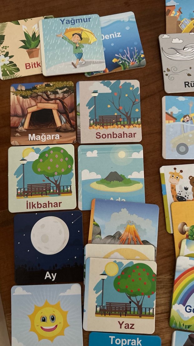 Doğayı Öğreniyorum Eğitici Kartlar - Görsel 5