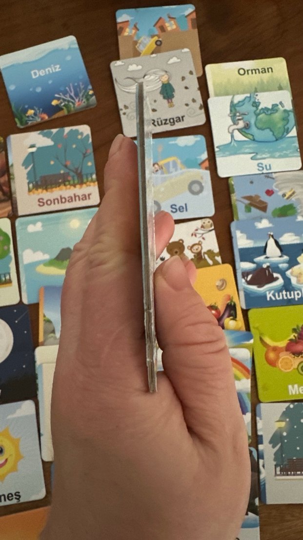 Doğayı Öğreniyorum Eğitici Kartlar - Görsel 4