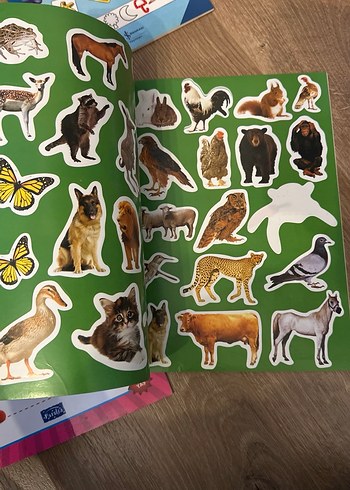 Okul Öncesi Zeka ve Çizgi Alıştırmaları Seti - Görsel 9