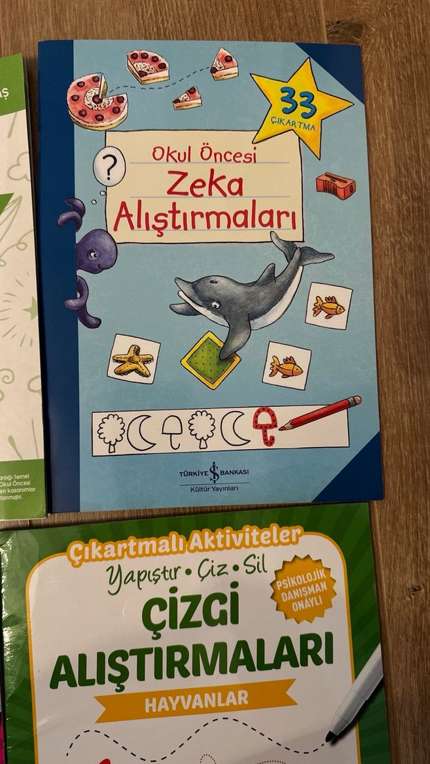 Okul Öncesi Zeka ve Çizgi Alıştırmaları Seti - Görsel 3