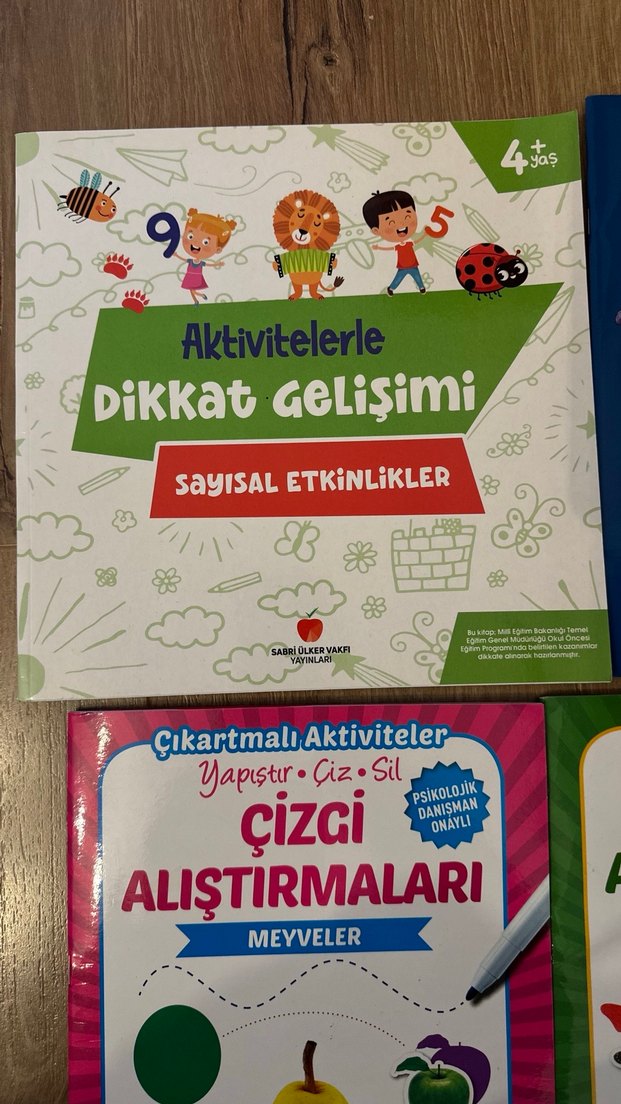 Okul Öncesi Zeka ve Çizgi Alıştırmaları Seti - Görsel 2