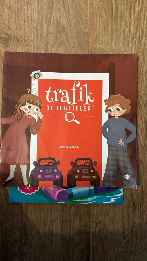 İkili okul öncesi/ilköğretim dönemi kitap - Görsel 4