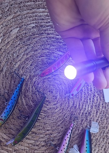 Çok Renkli Balıkçılık Yem Seti - Görsel 9