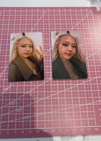 Rose bp fanmade pc
