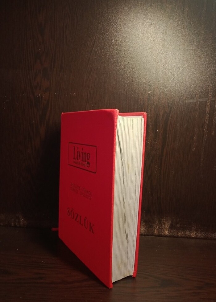 Living ingilizce-türkçe sözlük  - Görsel 2