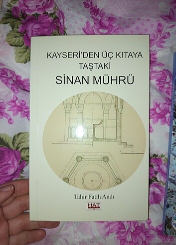Mimarsinan hakkında