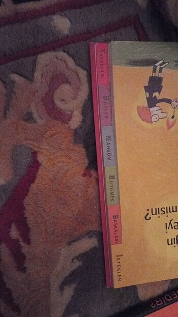  Beden Görselle konu anlatımlı ve bölüm bölüm 