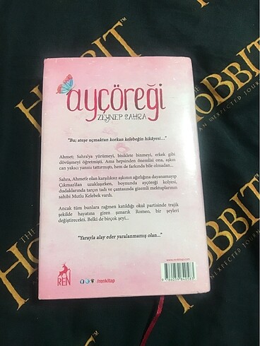  Ayçöregi