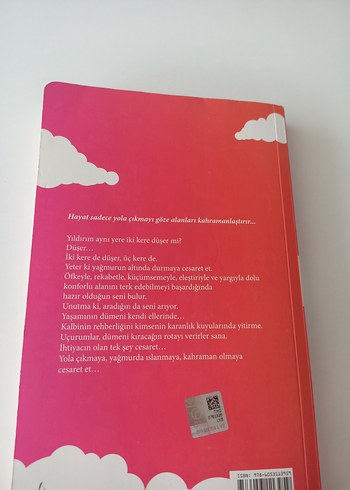 Hayat Cesurlara Torpil Geçer - Bircan Yıldırım - Görsel 3