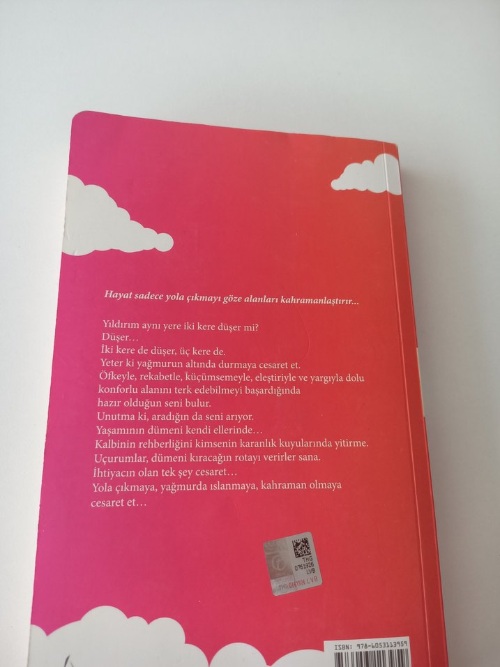 Hayat Cesurlara Torpil Geçer - Bircan Yıldırım - Görsel 3