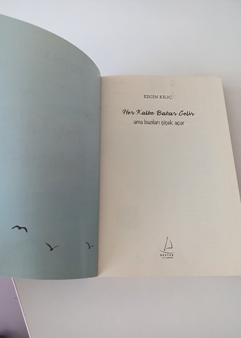 Her Kalbe Bahar Gelir - Ezgin Kılıç - Görsel 2