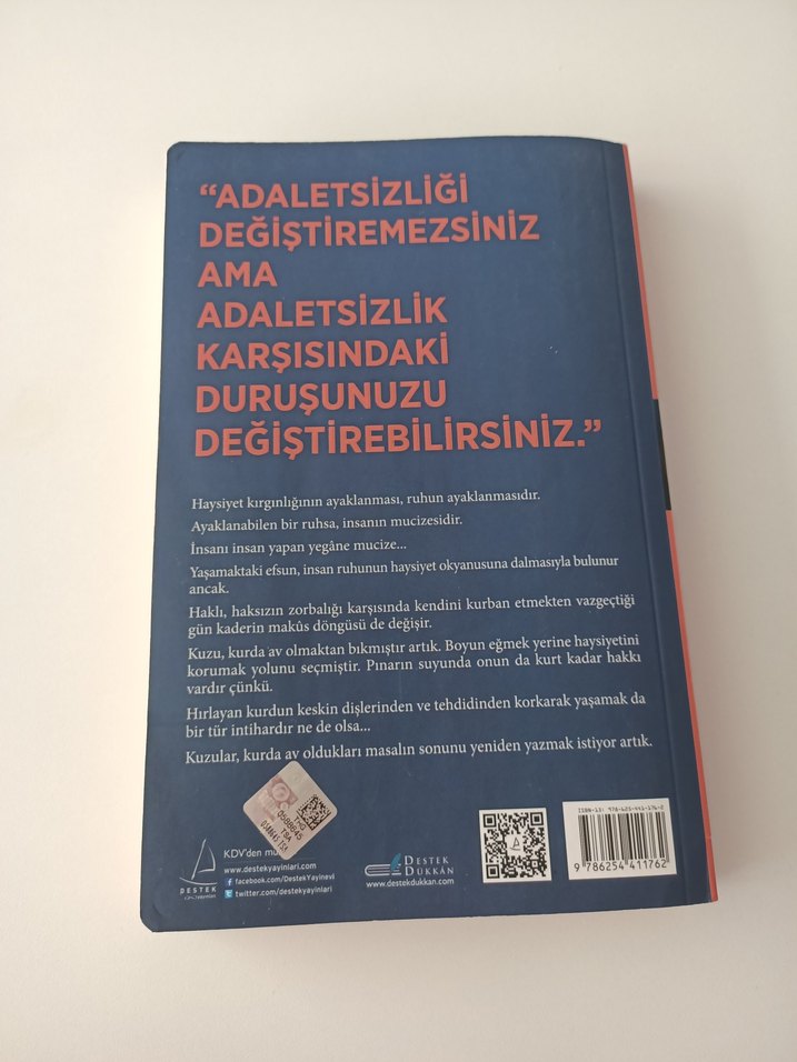 Haysiyet - Tuhaf Zamanlarda Cesurca Yaşamak - Görsel 3