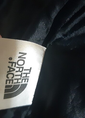 The Nort Face Erkek Montu - Görsel 2