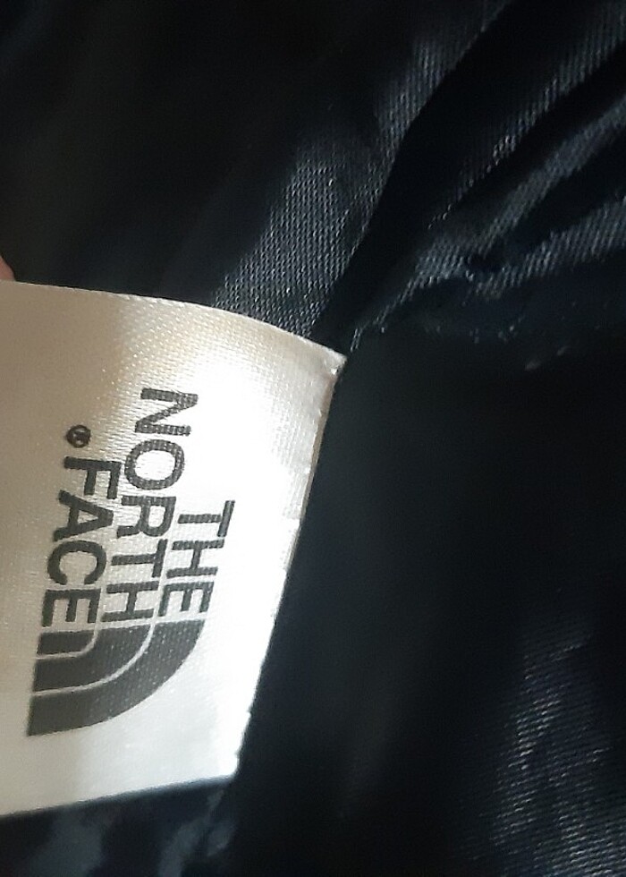 The Nort Face Erkek Montu - Görsel 2