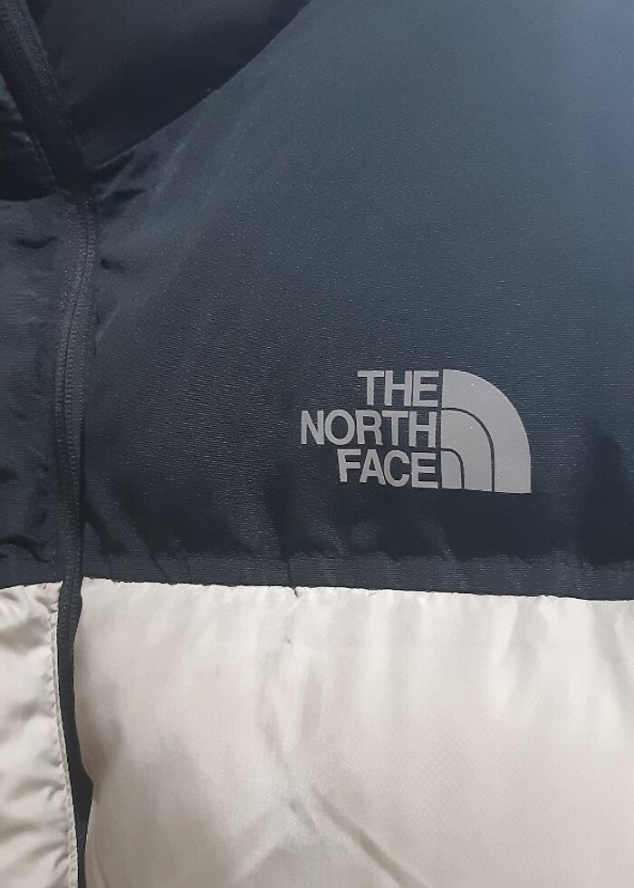 The Nort Face Erkek Montu - Görsel 4
