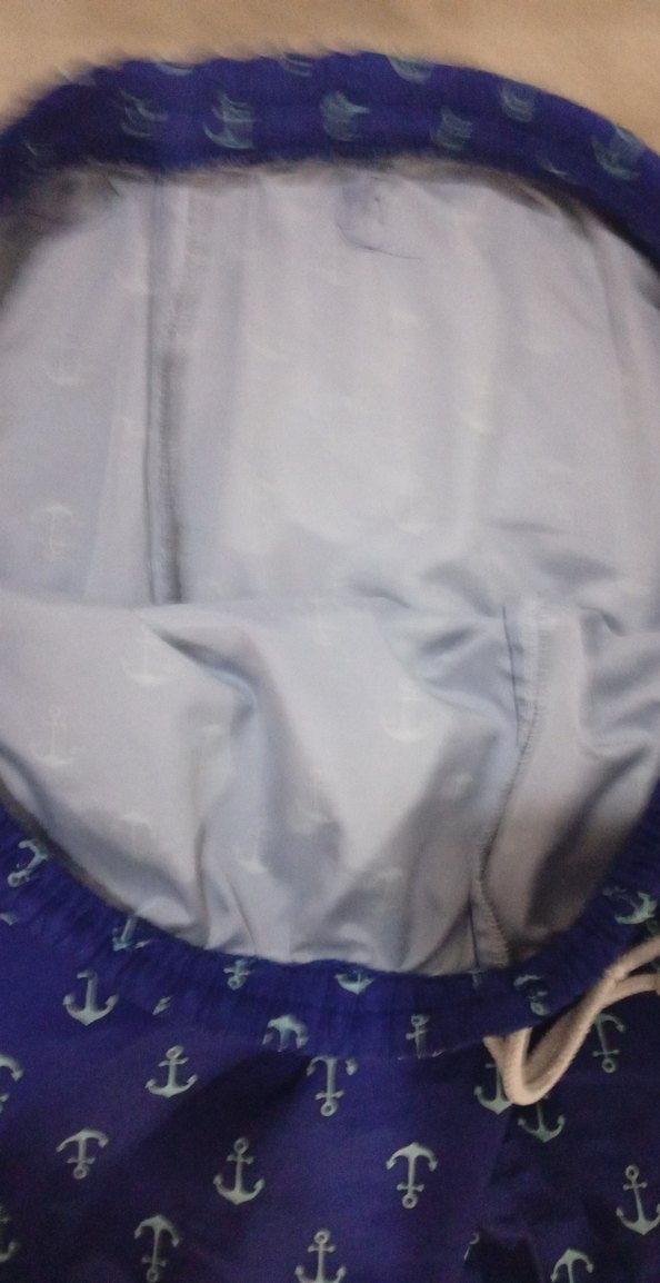 Mavi Desenli Erkek Deniz Şortu - Görsel 2