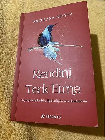 Kendini terk etme kişisel gelişim kitabı