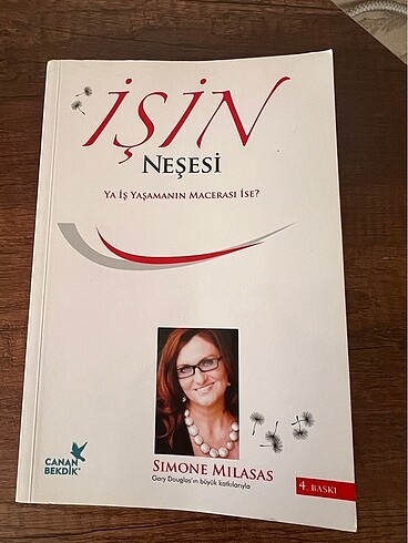 Access işin neşesi kitabı