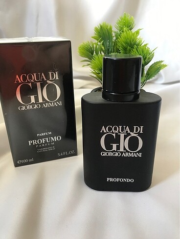 Giorgio Armani Acqua Di Gio Profumo 100Ml Erkek Parfüm