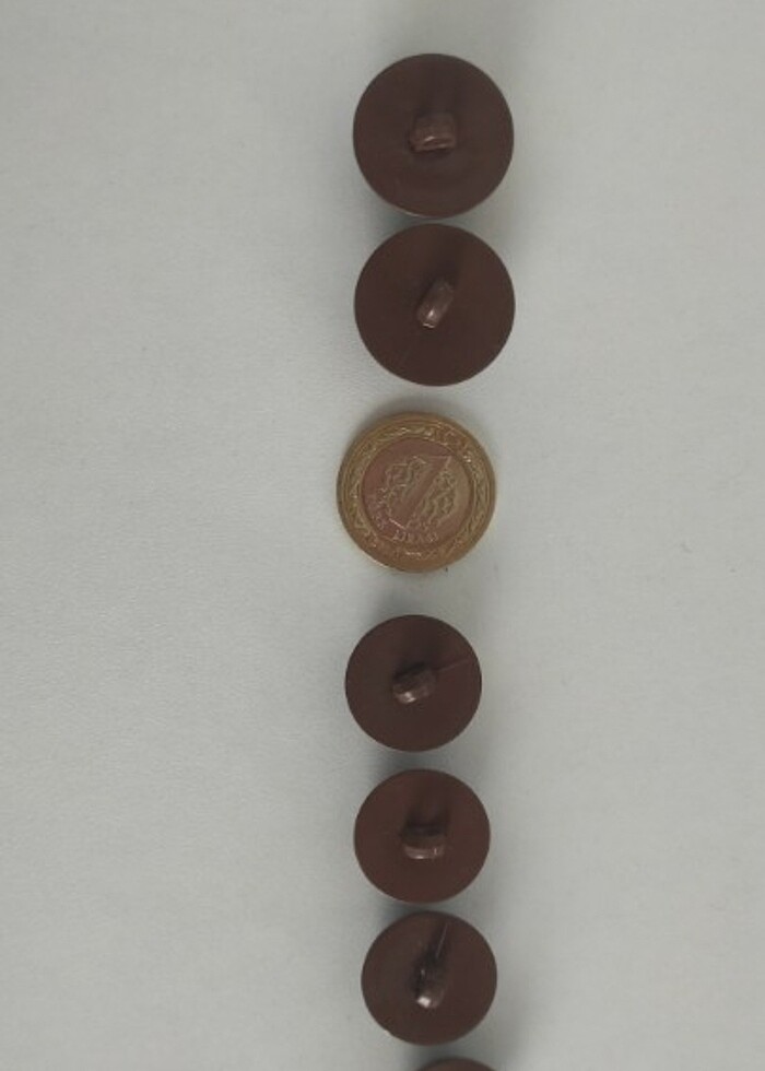 Büyük düğme 6 tane - Görsel 5