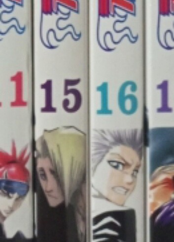 Bleach 15 16