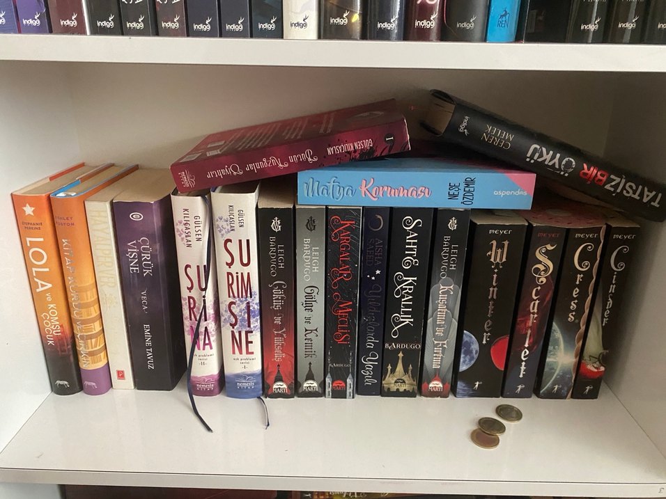 WATTPAD SERİLERİ - Görsel 4