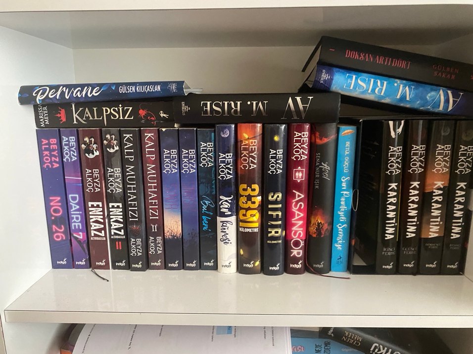 WATTPAD SERİLERİ - Görsel 3